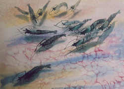 Prawn Painting